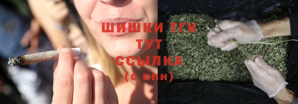 a pvp Абаза