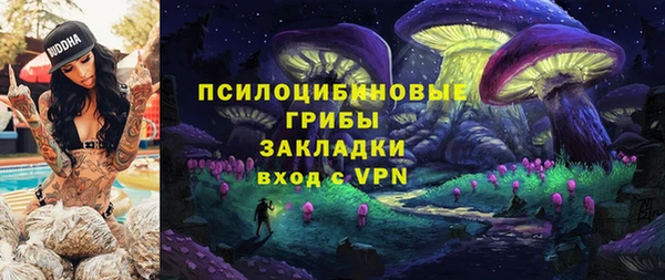 первитин Алексеевка